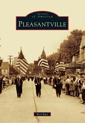 Pleasantville: A Novel